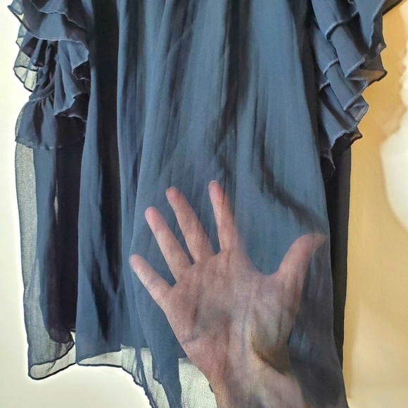 Anthropologie Sheer Chiffon Ruffle Blouse Top - Picture 6 of 14